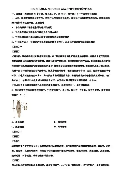 山东省东营市2019-2020学年中考生物四模考试卷含解析