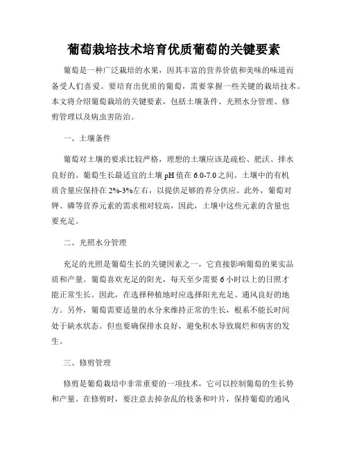 葡萄栽培技术培育优质葡萄的关键要素