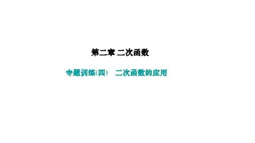 北师版九年级数学下册作业课件 第二章 二次函数 专题训练(四) 二次函数的应用