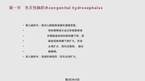 颅脑和脊髓先天畸形.pptx