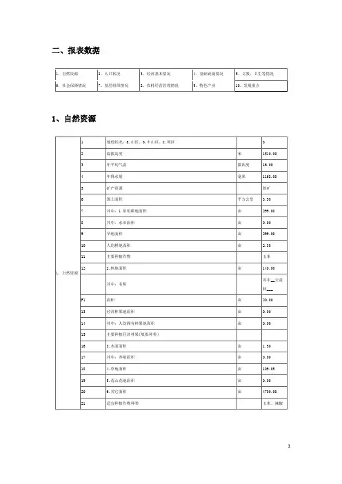 农村调查报告数据统计模板