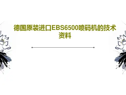 德国原装进口EBS6500喷码机的技术资料共55页文档