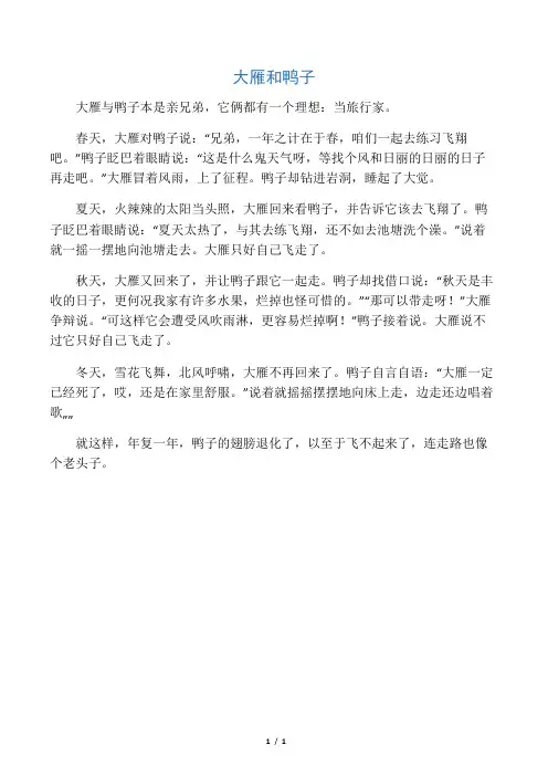 大雁和鸭子