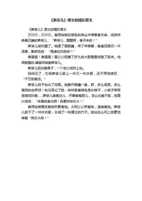 《笋芽儿》课文的精彩原文