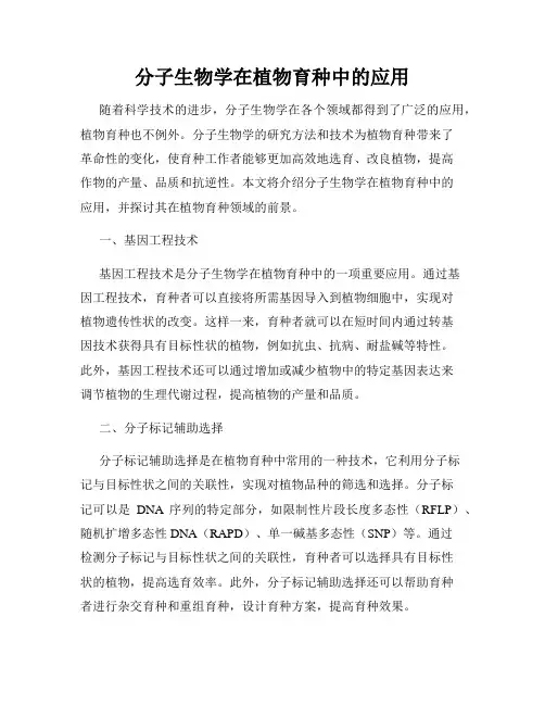分子生物学在植物育种中的应用