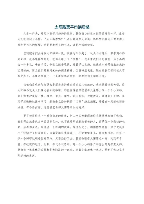 太阳路贾平凹读后感