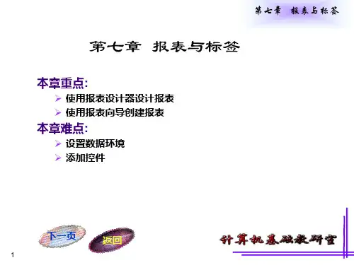 第七章报表与标签