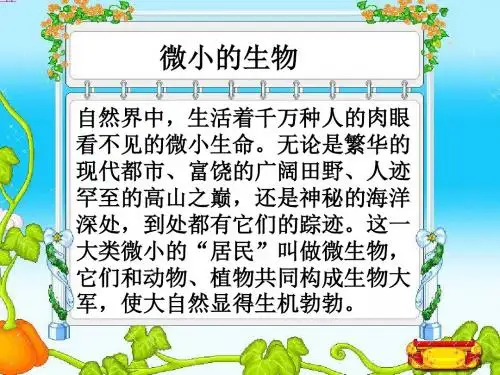 5.5病毒课件(24张ppt)