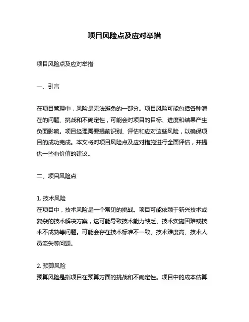 项目风险点及应对举措