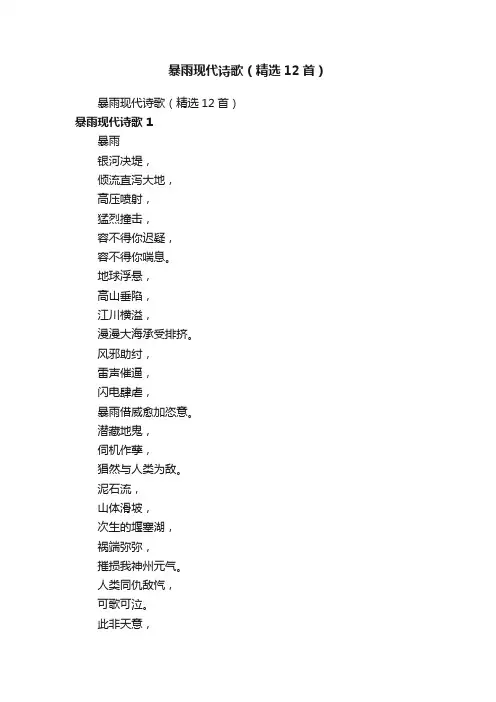 暴雨现代诗歌（精选12首）