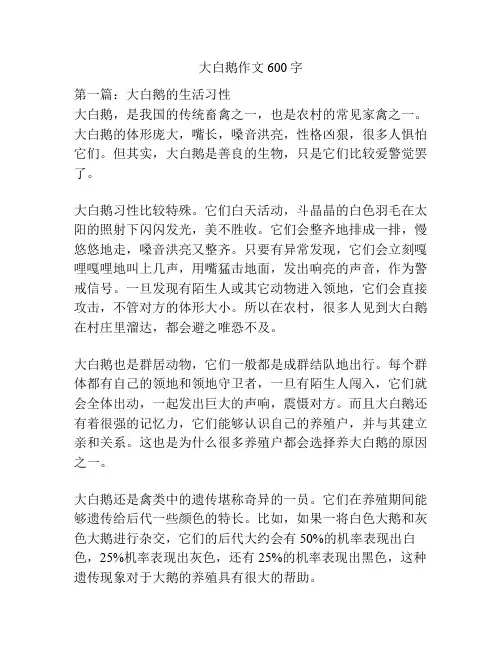 大白鹅作文600字