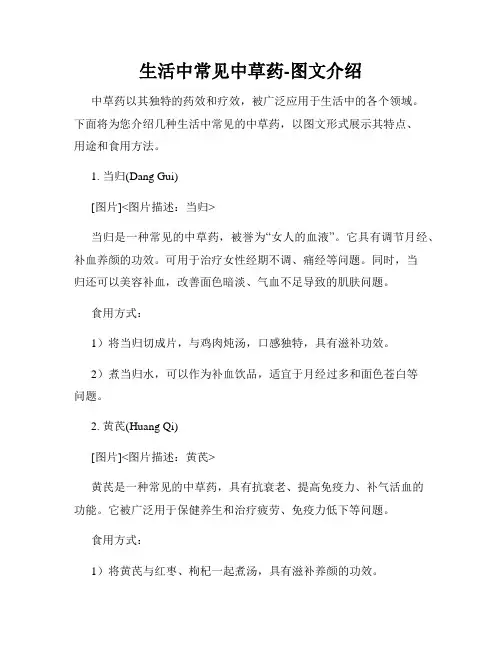生活中常见中草药-图文介绍