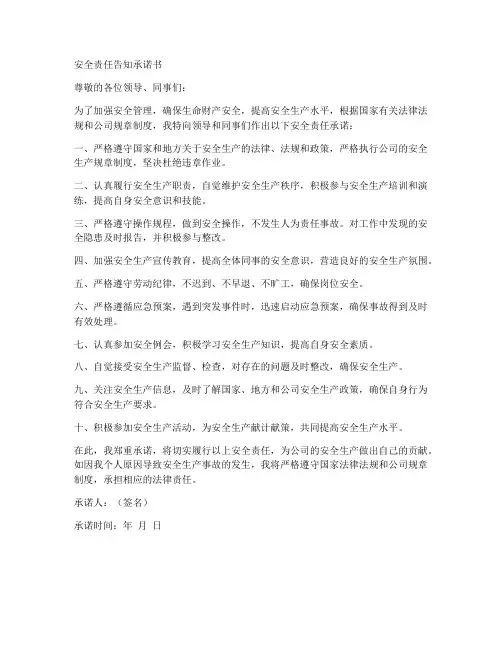安全责任告知承诺书