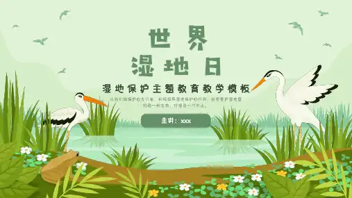 湿地保护主题教育教学PPT模板
