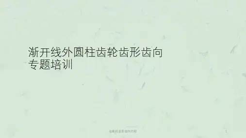 齿轮的齿形齿向介绍课件