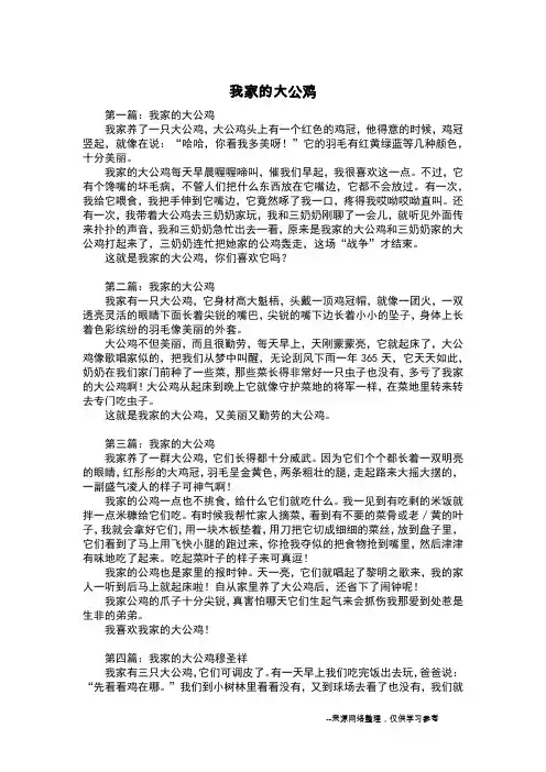我家的大公鸡_六年级作文