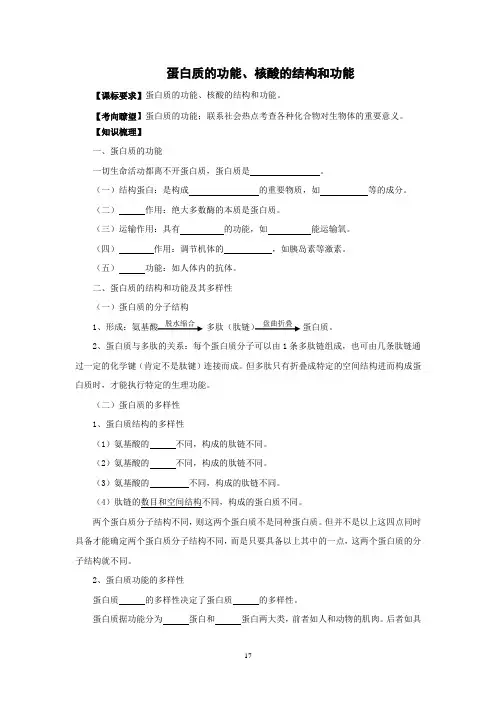 2.3蛋白质的功能、核酸的结构和功能
