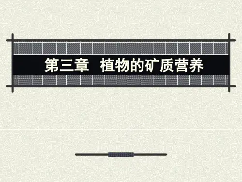 植物生理学_03矿质营养