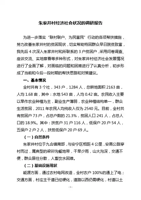 联村联户 调研报告