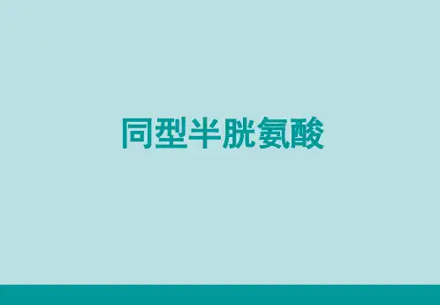 同型半胱氨酸PPT