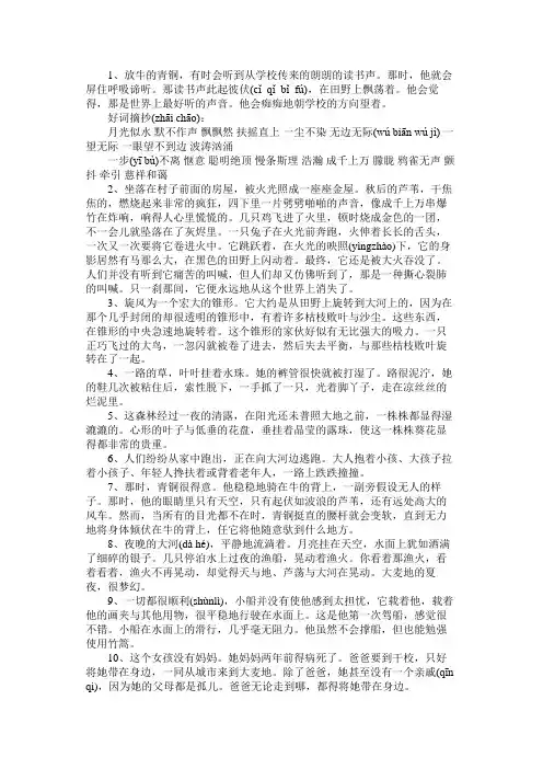 青铜葵花好词好句好段