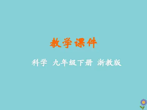 第2节种群(PPT课件(初中科学)22张)