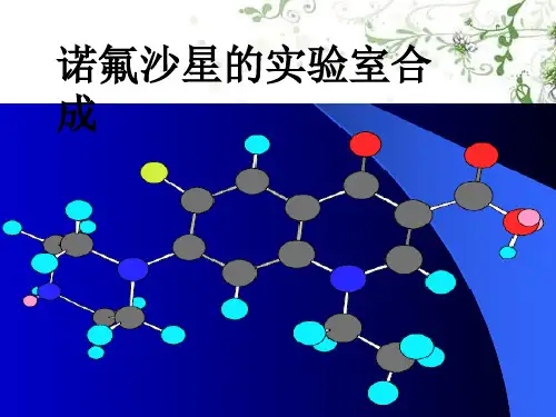 诺氟沙星合成工艺(改过)
