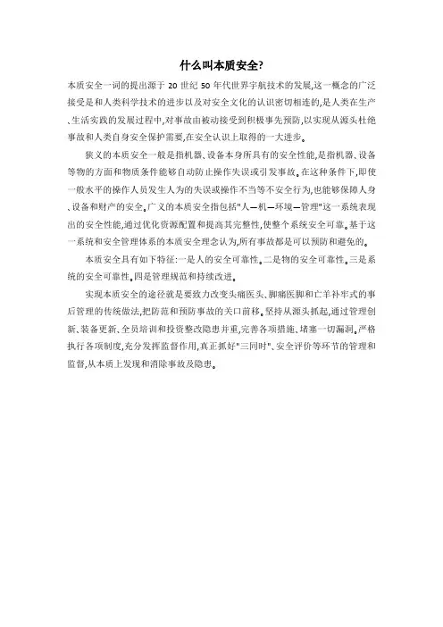 什么叫本质安全？