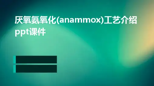 厌氧氨氧化(ANAMMOX)工艺介绍PPT课件