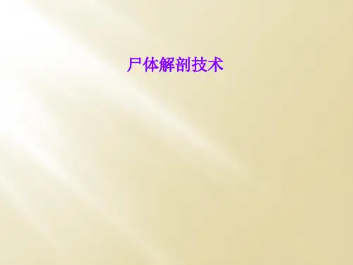 尸体解剖技术