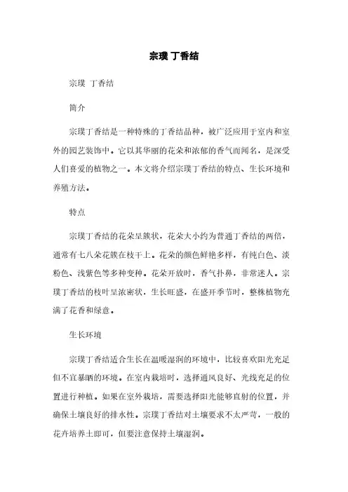 宗璞 丁香结