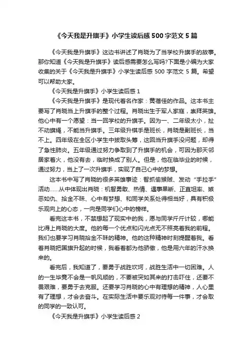 《今天我是升旗手》小学生读后感500字范文5篇