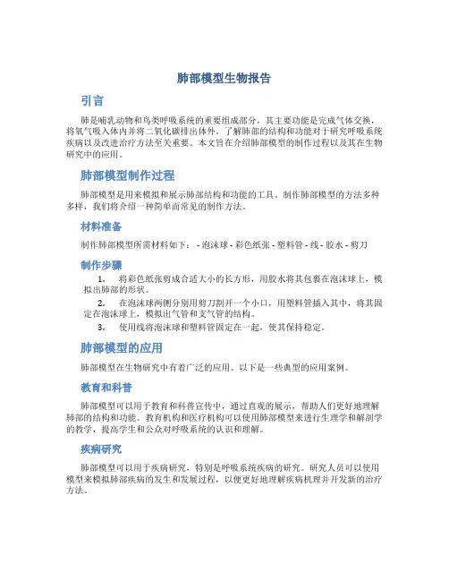 肺部模型生物报告