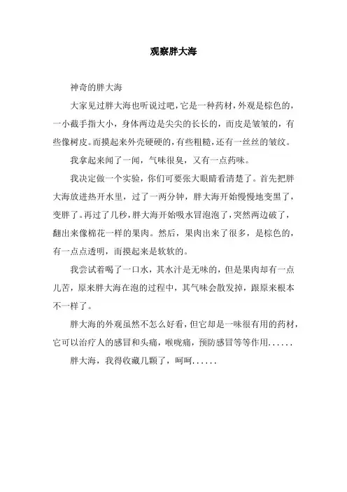观察胖大海