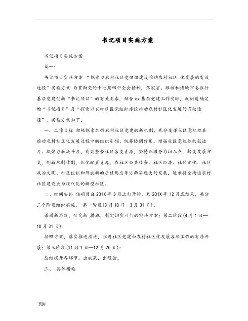 书记项目实施计划方案