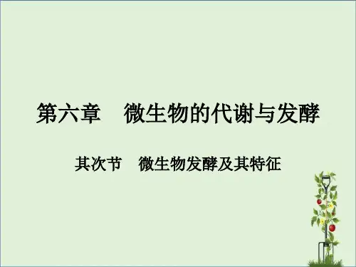 化学微生物学第六章发酵全解