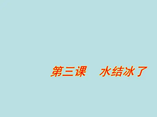 《水结冰了》PPT优质课件教科版小学1