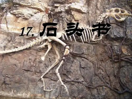 《石头书》PPT精品教学课件3