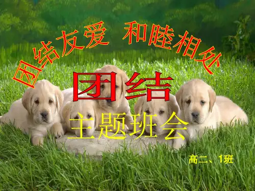 高中生团结友爱主题班会精品ppt课件