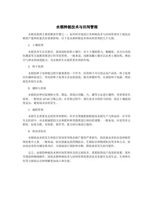 水稻种植技术与田间管理