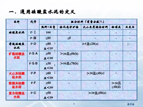 硅酸盐水泥的标准沐风教学.ppt