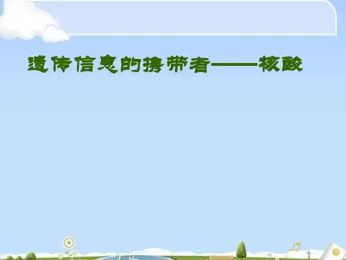 高一生物2.3遗传信息的携带者——核酸(共17张PPT)