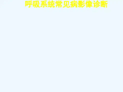 呼吸系统常见病影像诊断