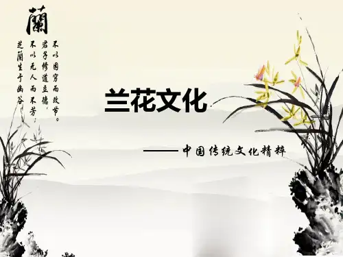 兰花文化
