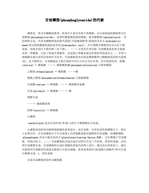 甘油磷脂(phosphoglyceride)的代谢