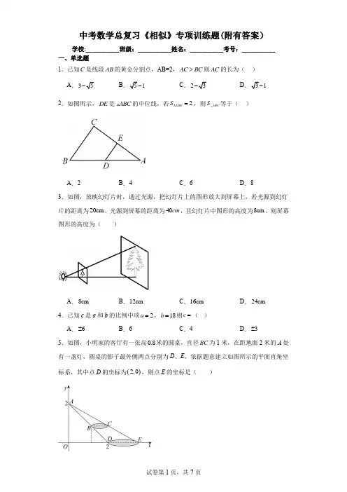 中考数学总复习《相似》专项训练题(附有答案)
