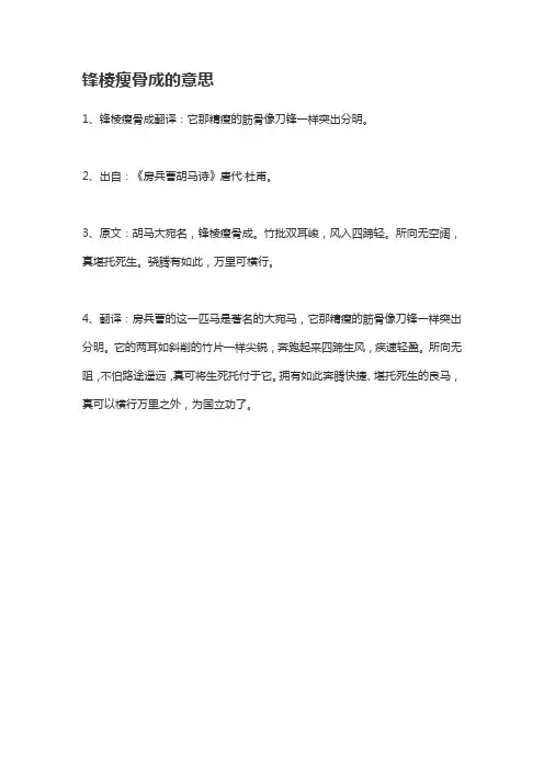 锋棱瘦骨成全诗的意思
