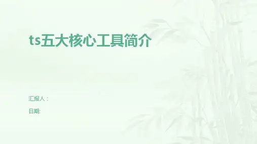 ts五大核心工具简介