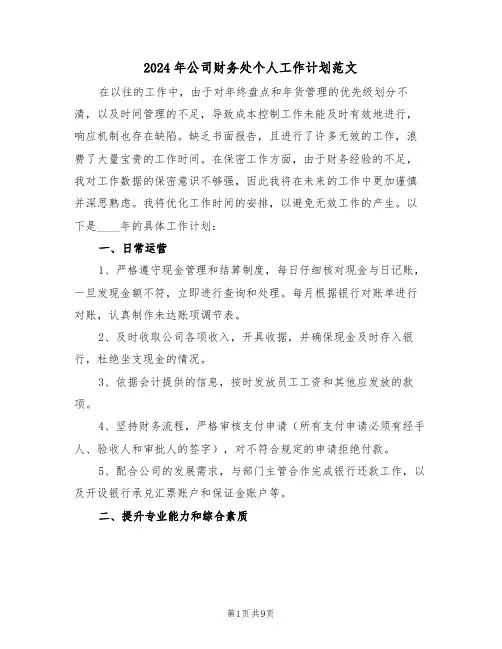 2024年公司财务处个人工作计划范文（五篇）
