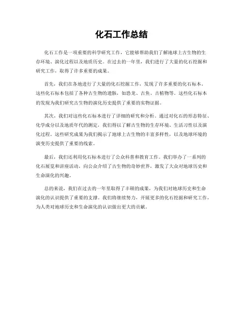 化石工作总结